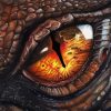 dragon-eye-paint-by-numbers