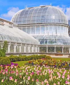 dublin-Botanic-Gardens-paint-by-numbers