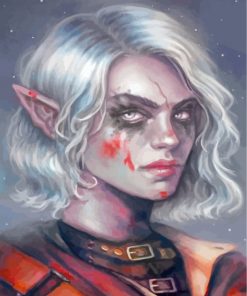 elf-woman-paint-by-numbers