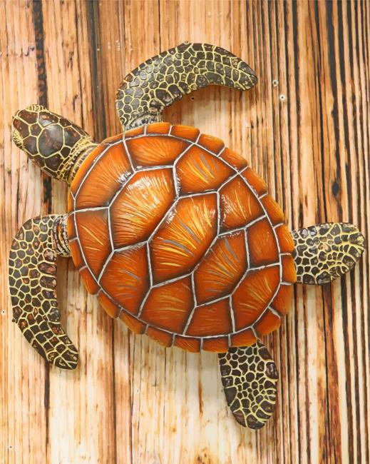 esthetic-turtle-paint-by-number