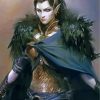 female-dark-elf-warrior-paint-by-numbers