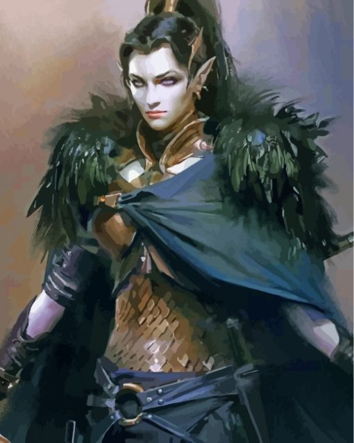 female-dark-elf-warrior-paint-by-numbers