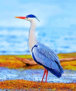 heron-bird-paint-by-number