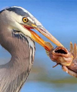 heron-eating-a-fish-paint-by-number