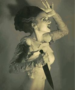 monochrome-Bride-of-frankenstein-paint-by-numbers