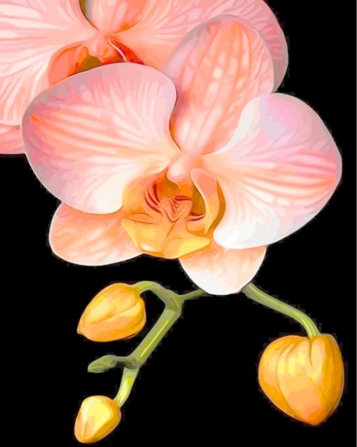 Orange Orchid paint by numbers