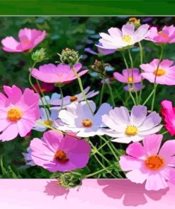 pink-flowers-paint-by-numbers
