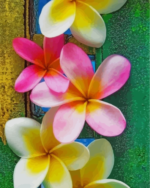 Plumeria Flowers - Paint By Number - Num Paint Kit