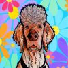 poodle-art-paint-by-numbers