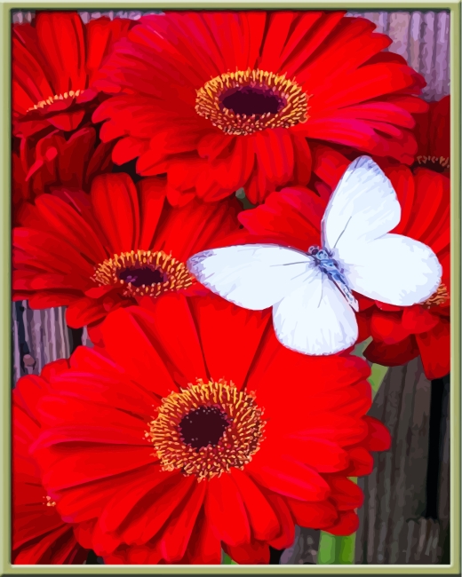 red-flowers-and-white-butterfly-paint-by-numbers