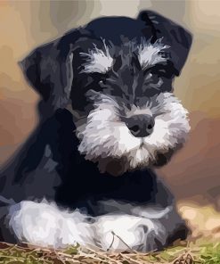 schnauzer-small-dog-paint-by-numbers