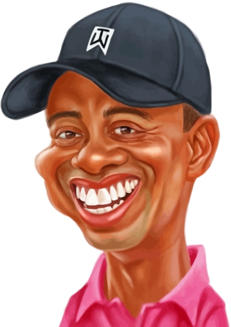 tiger-woods-paint-by-numbers