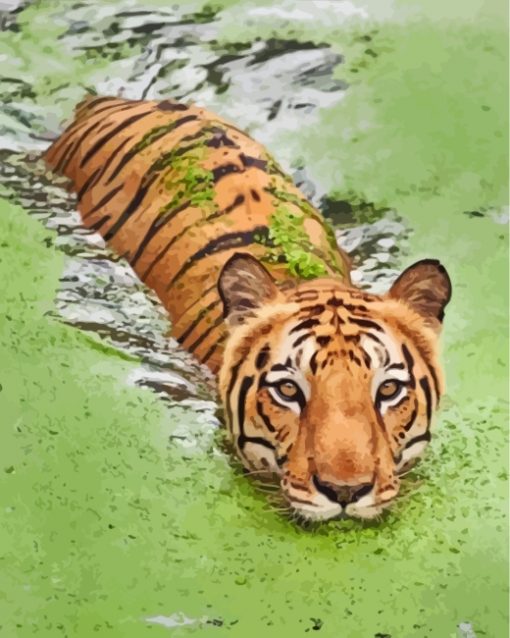 aesthetic-tiger-paint-by-numbers