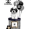 chanel-dog-paint-by-numbers