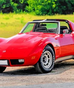 1975-red-stingray-vet-paint-by-number