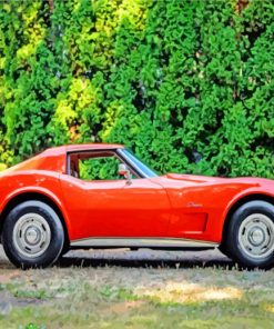 1975-stingray-vet-paint-by-number