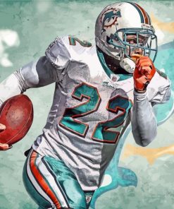 miami-dolphins-reggie-bush-paint-by-numbers