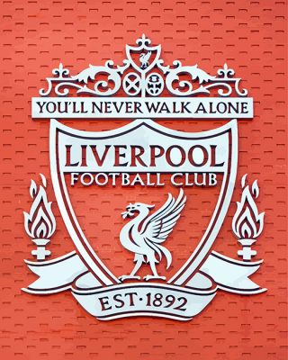 Liverpoool FC Crest paint by numbers