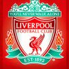 Liverpoool FC Crest Football paint by numbers