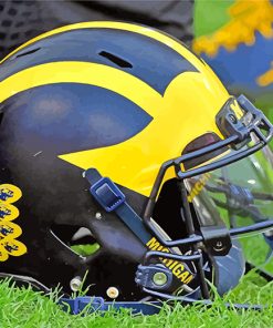 Michigan Wiolverines Football Helmet paint by numbers