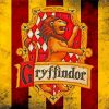 Gryffindor Logo panels paint by numbers