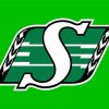 Saskatchewan Roughriders paint by numbers