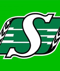 Saskatchewan Roughriders paint by numbers
