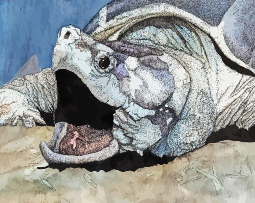 Alligatore Snapping Turtle paint by numbers