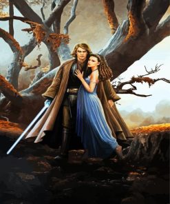Anakin Padme Star Wars paint by numbers