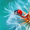 Beetle On Dandelion Macro Photography paint by numbers