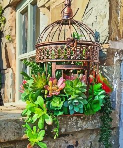 Bird Cage And Succulents paint by numbers