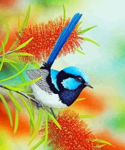 Blue Wren And Bottlebrush paint by numbers