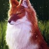Dhole Art paint by numbers