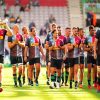 Harlequins Rugby paint by numbers
