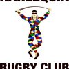 Harlequins Rugby Logo paint by numbers