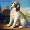 Lagotto Romagnolo Art paint by numbers