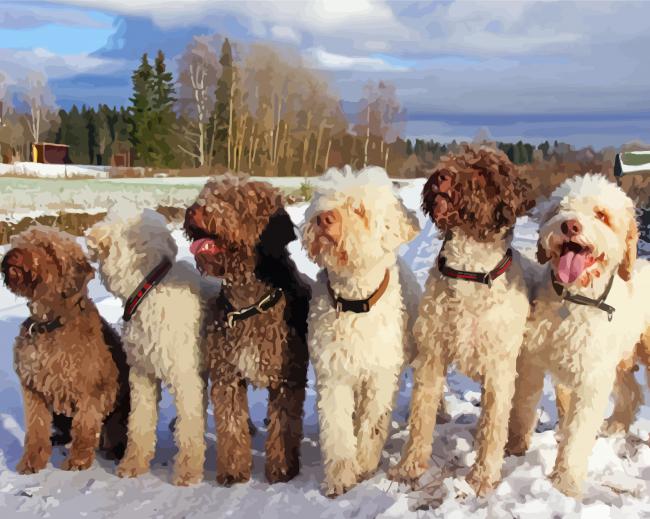 Lagotto Romagnolo Puppies paint by numbers