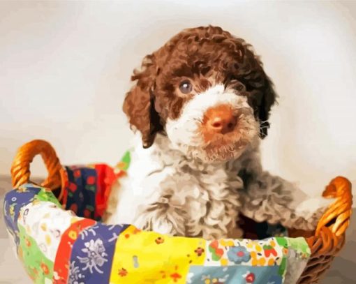 Lagotto Romagnolo Puppy paint by numbers