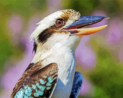Laughing Kookaburra Erika paint by numbers