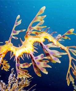 Leafy seadragon paint by numbers