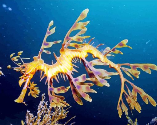 Leafy seadragon paint by numbers