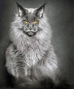 Maine Coon Cat paint by numbers