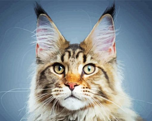 Maine Coon paint by numbers