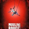 Moulin rouge movie paint by number