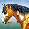 Native American Horse Paint by numbers