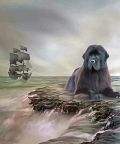 Aesthetic Newfoundland Dog paint by numbers
