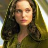 Padme Star Wars paint by numbers