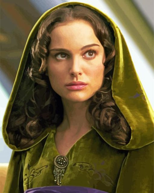 Padme Star Wars paint by numbers