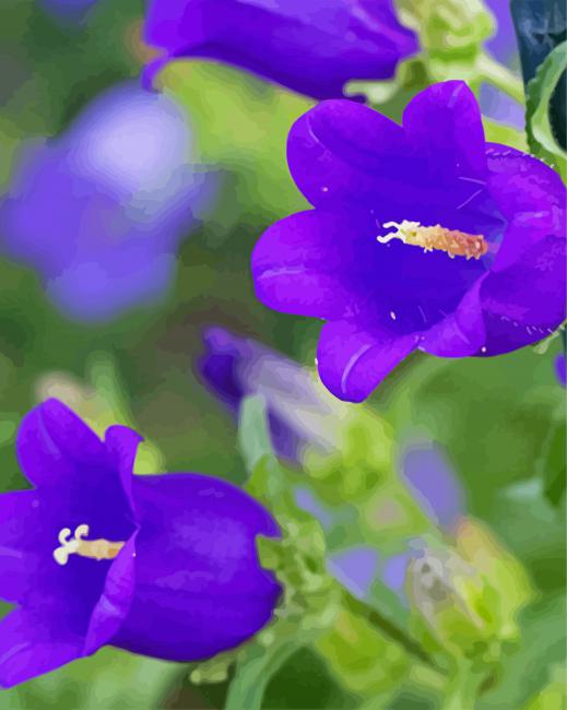 Purple canterbury bells flower paint by numbers