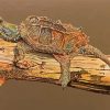 Snapping Turtle paint by numbers